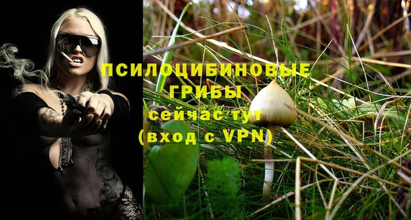 бошки Абаза