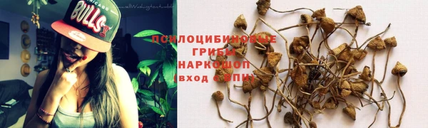 прущая мука Абинск
