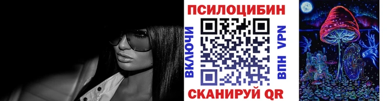 mega зеркало  нарко площадка Telegram  Псилоцибиновые грибы мицелий  закладка  Туринск 